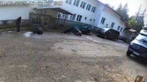 хижа Петрохан нови записи