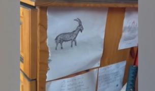 <p>Какво означава козелът на Калушев, открит в "Петрохан"</p>