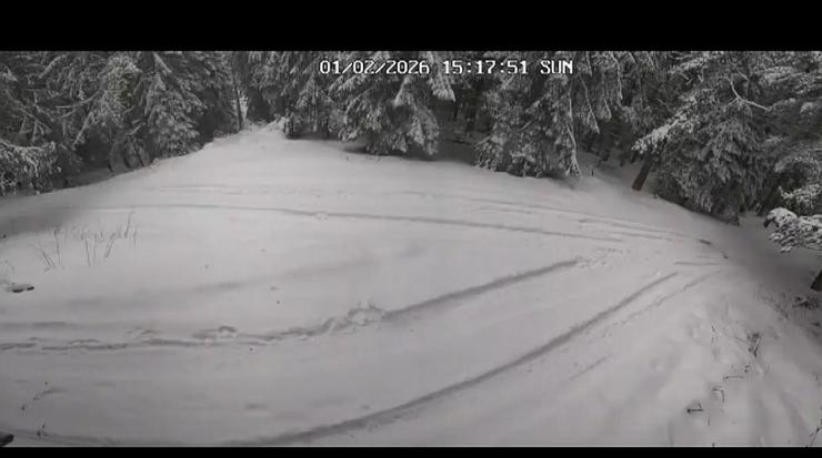 Петрохан хижа камери