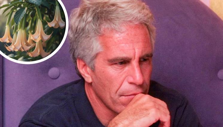 Епстийн - ТАКА ЛИ ГИ Е ХВАЩАЛ? Епстийн имал градина с отровни растения, превръщали хората във зомбита!