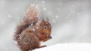През следващото денонощие времето в страната ще е облачно на