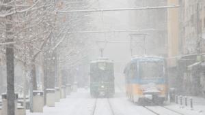 Зимната обстановка и снеговалежът в София доведоха до затруднения в