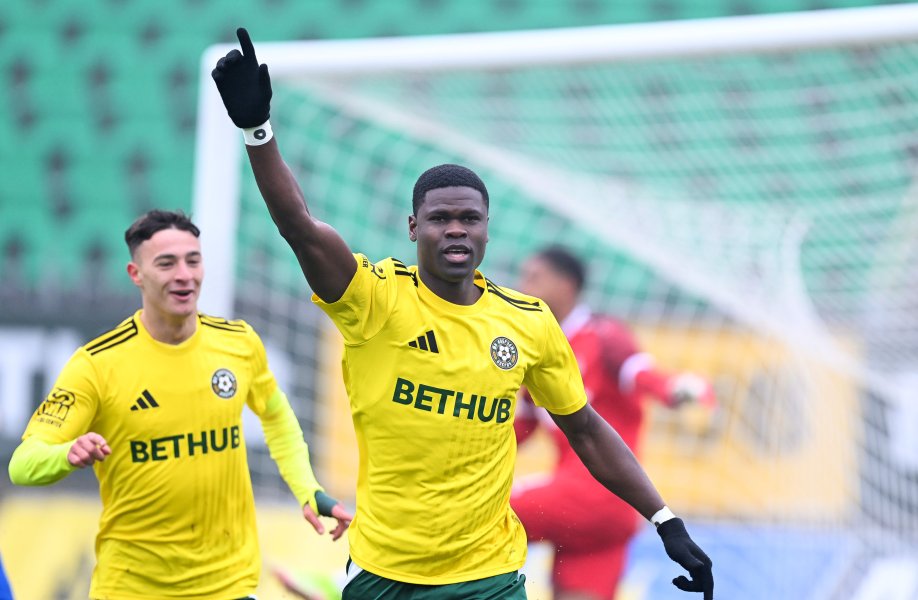 Добруджа Монтана1