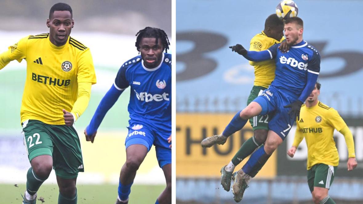 Добруджа Монтана