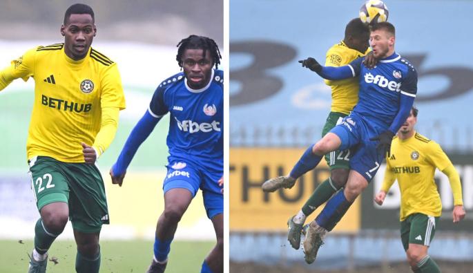 Добруджа Монтана