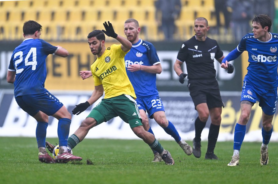 Добруджа и Монтана1