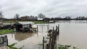 димитровград