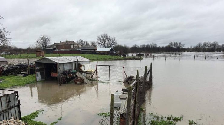 димитровград