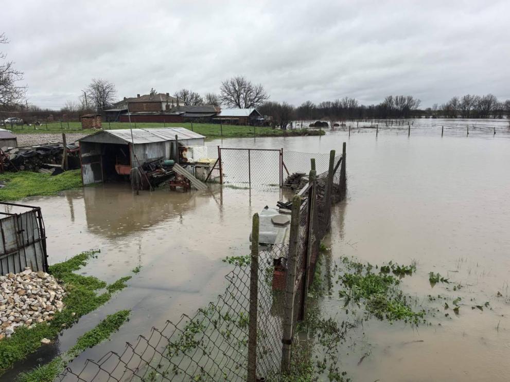 димитровград