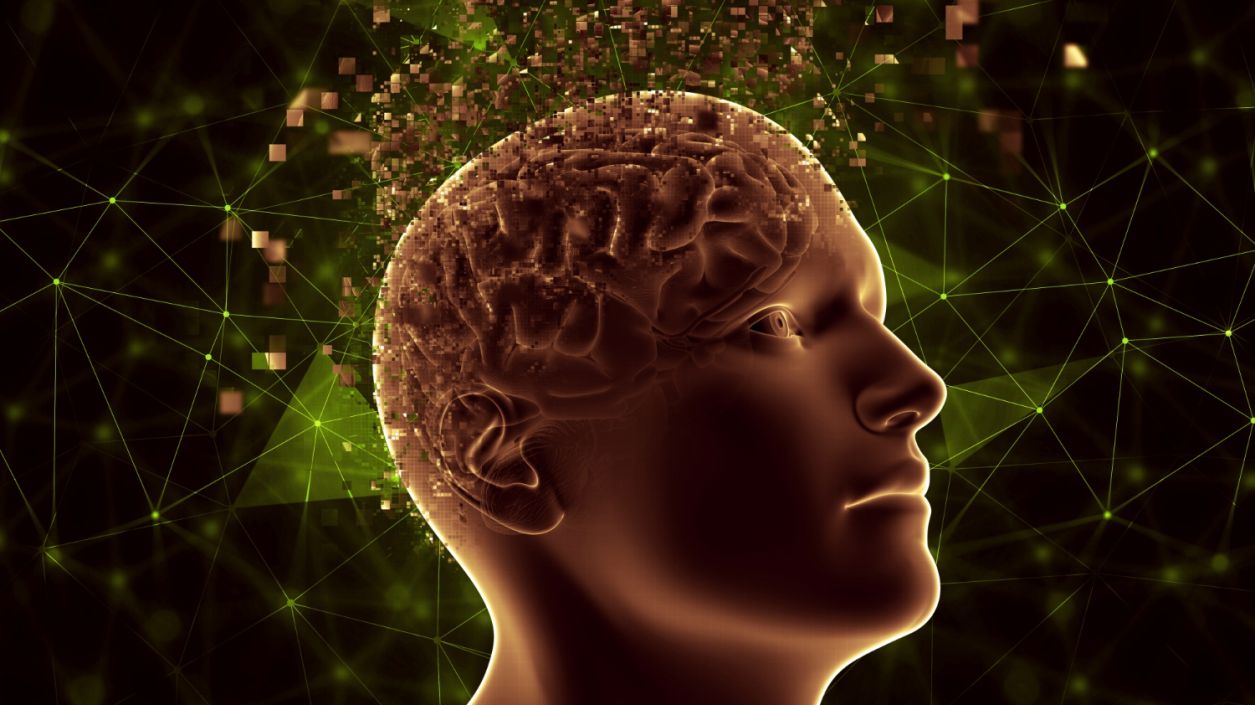 Как да запазим мозъка си здрав – ежедневни стъпки за силна памет