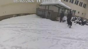 Петрохан хора хижа