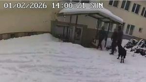 Петрохан записи