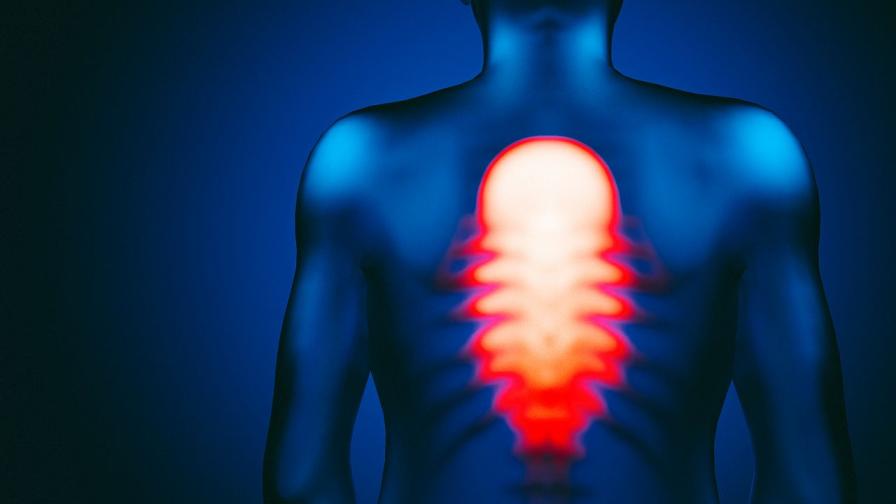 Гръдна (торакална) аневризма на аортата