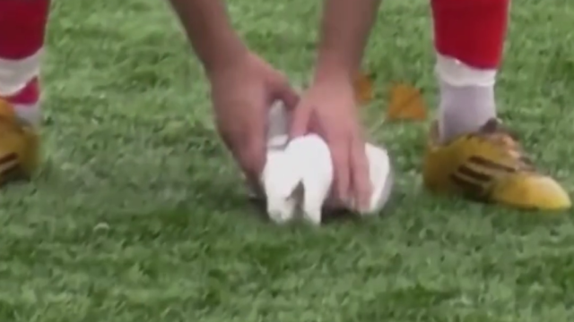 Турски футболист съживи чайка, поразена от изстрел на негов съотборник (ВИДЕО)