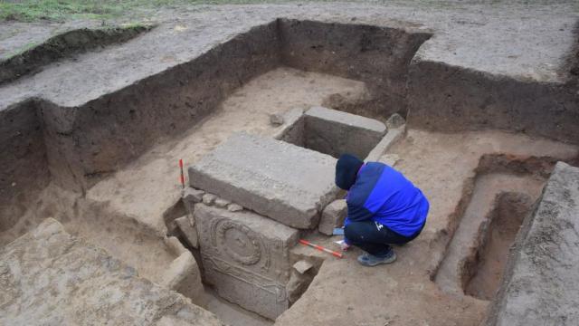 Мъж попадна на римска гробница при изкореняване на дърво в Свищов (СНИМКИ)