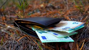 портмоне евро