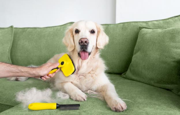 куче груминг козина