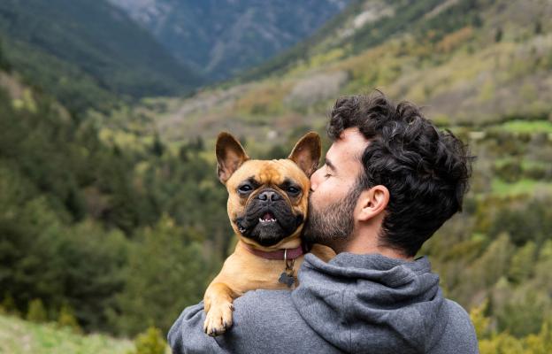 Френски булдог