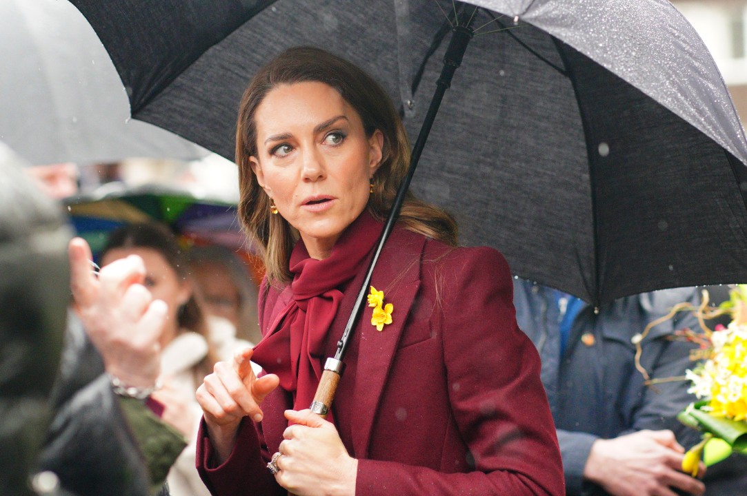 <p>При посещение в Уелс принцеса Кейт учтиво отказа автограф на фен поради кралския протокол, забраняващ подписи заради риск от фалшификации. Тя впечатли със стилна визия в бордо и подчерта значението на професионалното поведение по време на ангажименти</p>