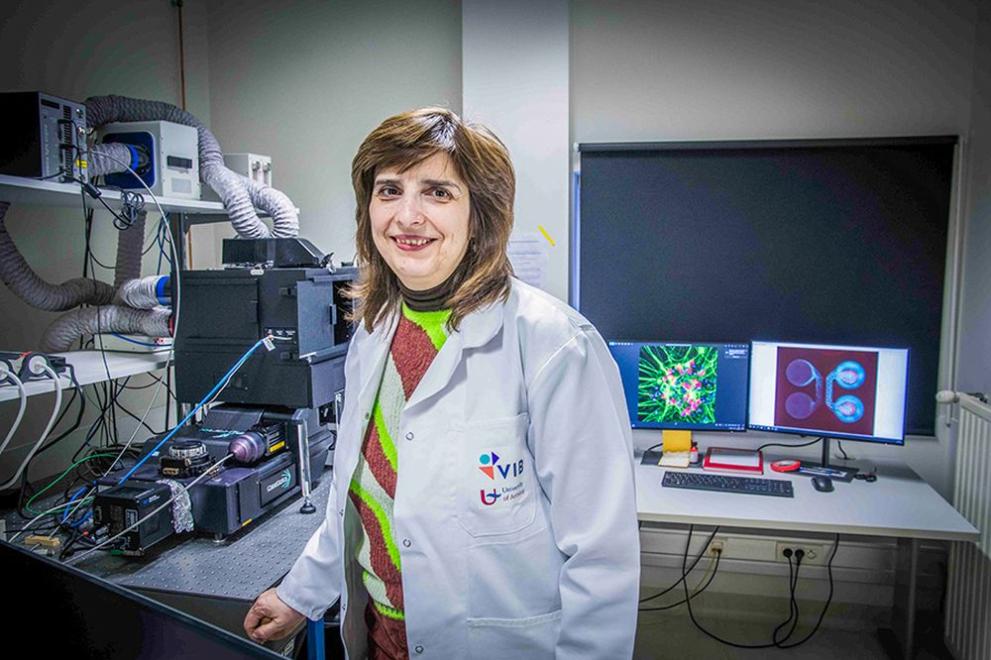 Проф. д-р Албена Йорданова