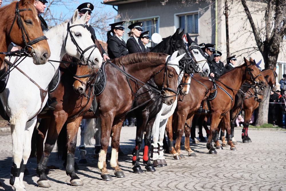 Тодоровден в София