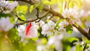 мартеници мартеница