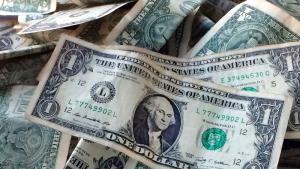 долари