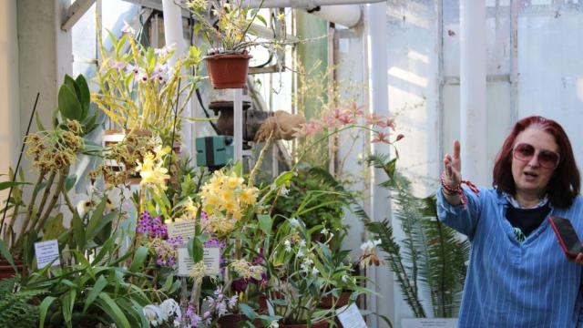 Показаха за първи път африканска ванилия в Ботаническата градина