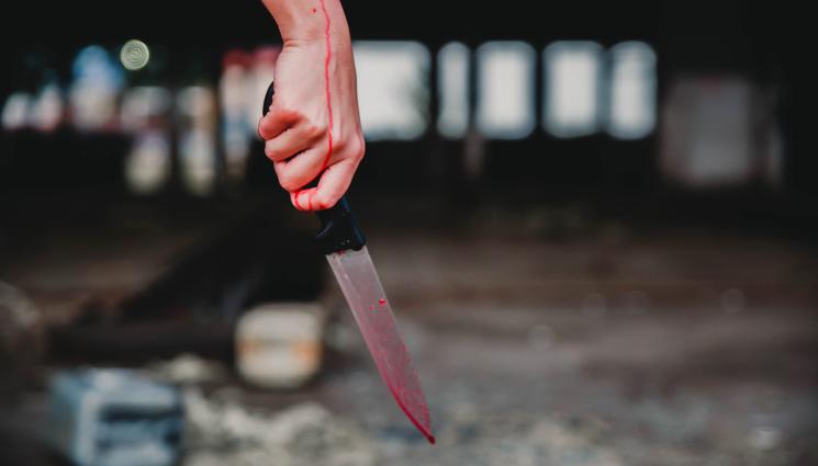 убийца нож - ВЪНШНИЯТ ВИД ЛЪЖЕ: Зашеметяваща красавица се оказа серийна убийца! (СНИМКИ)