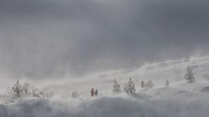 планина мъгла