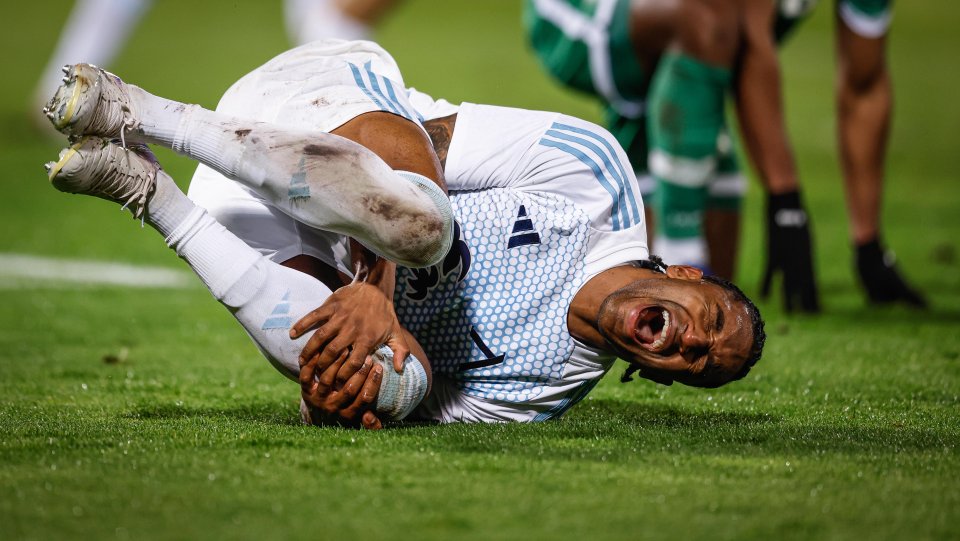 Лудогорец и Левски1