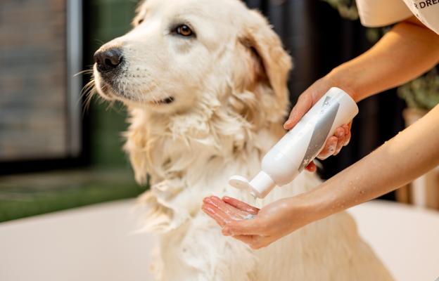 куче суха кожа