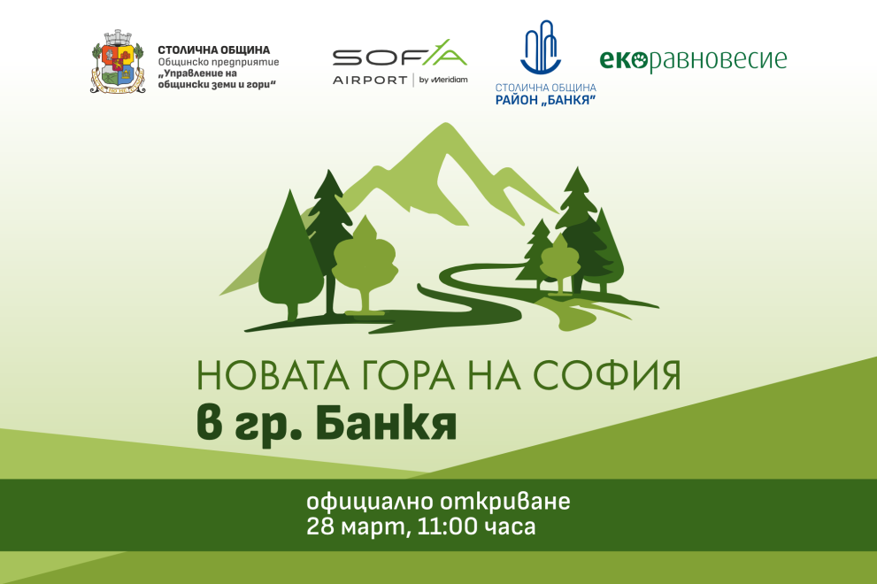 гора