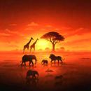 mikeeysmind, Chill77, Unjaps - Papaoutai (Afro Soul)