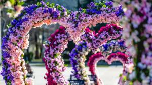 Враца снимки