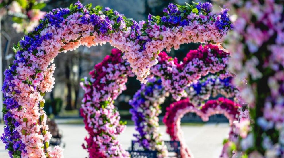 Цветна магия в центъра на Враца в навечерието на 8 март (СНИМКИ)