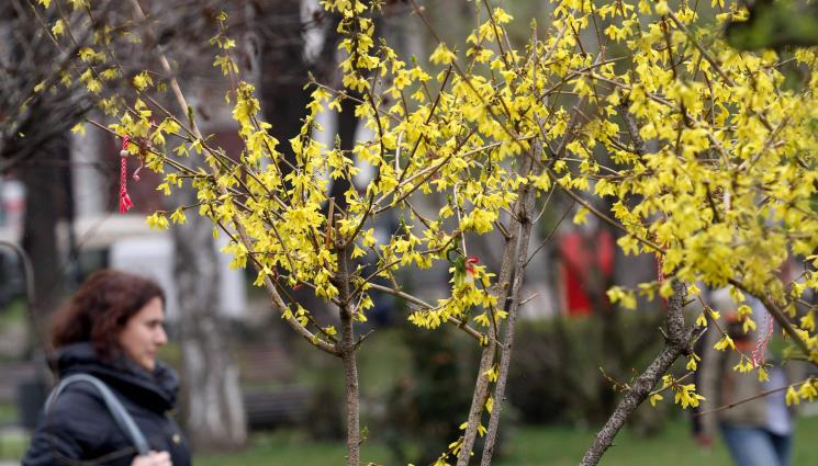 в - Слънце за Деня на жената!