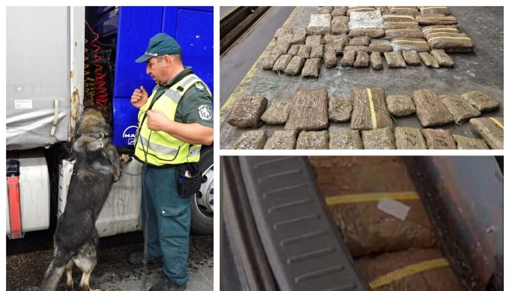 s - Пирин хвана шиптър с трева за €700 000