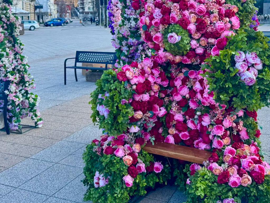 Враца грее за 8 март