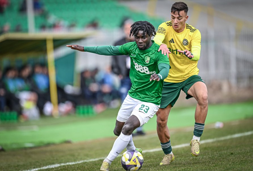 Добруджа Берое1