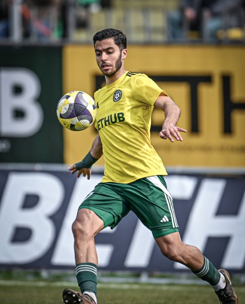 Добруджа Берое1