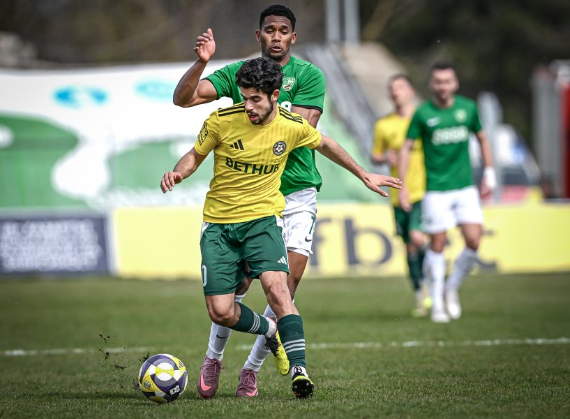 Добруджа Берое1