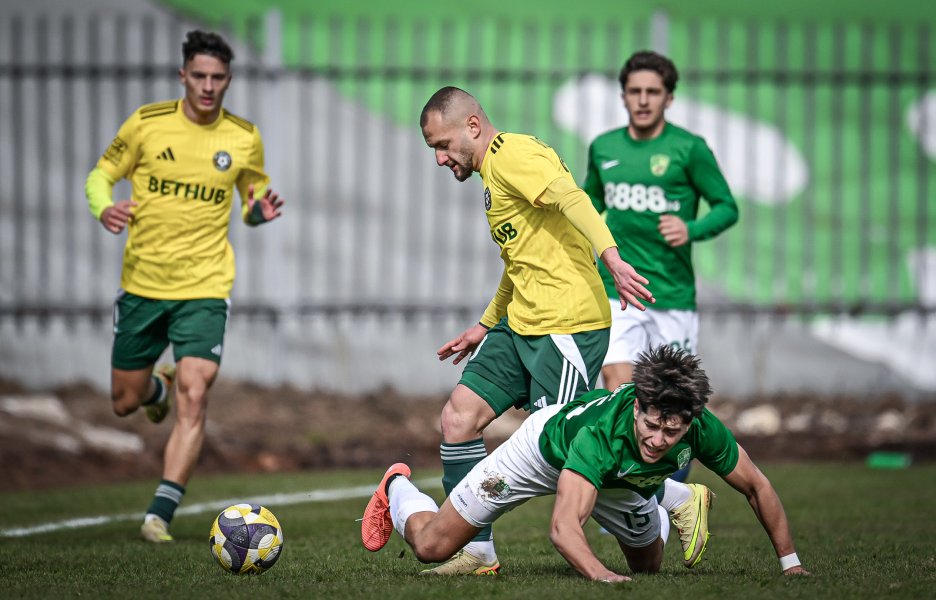 Добруджа Берое1