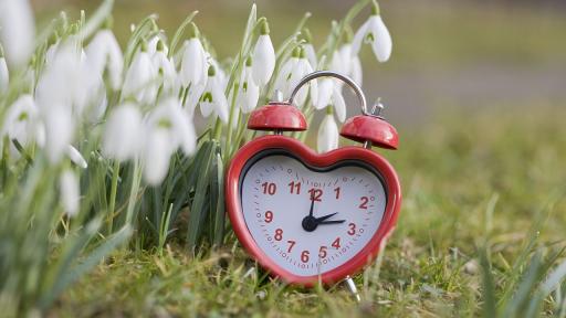 Топ 4 златни правила, за да не усетите смяната на времето