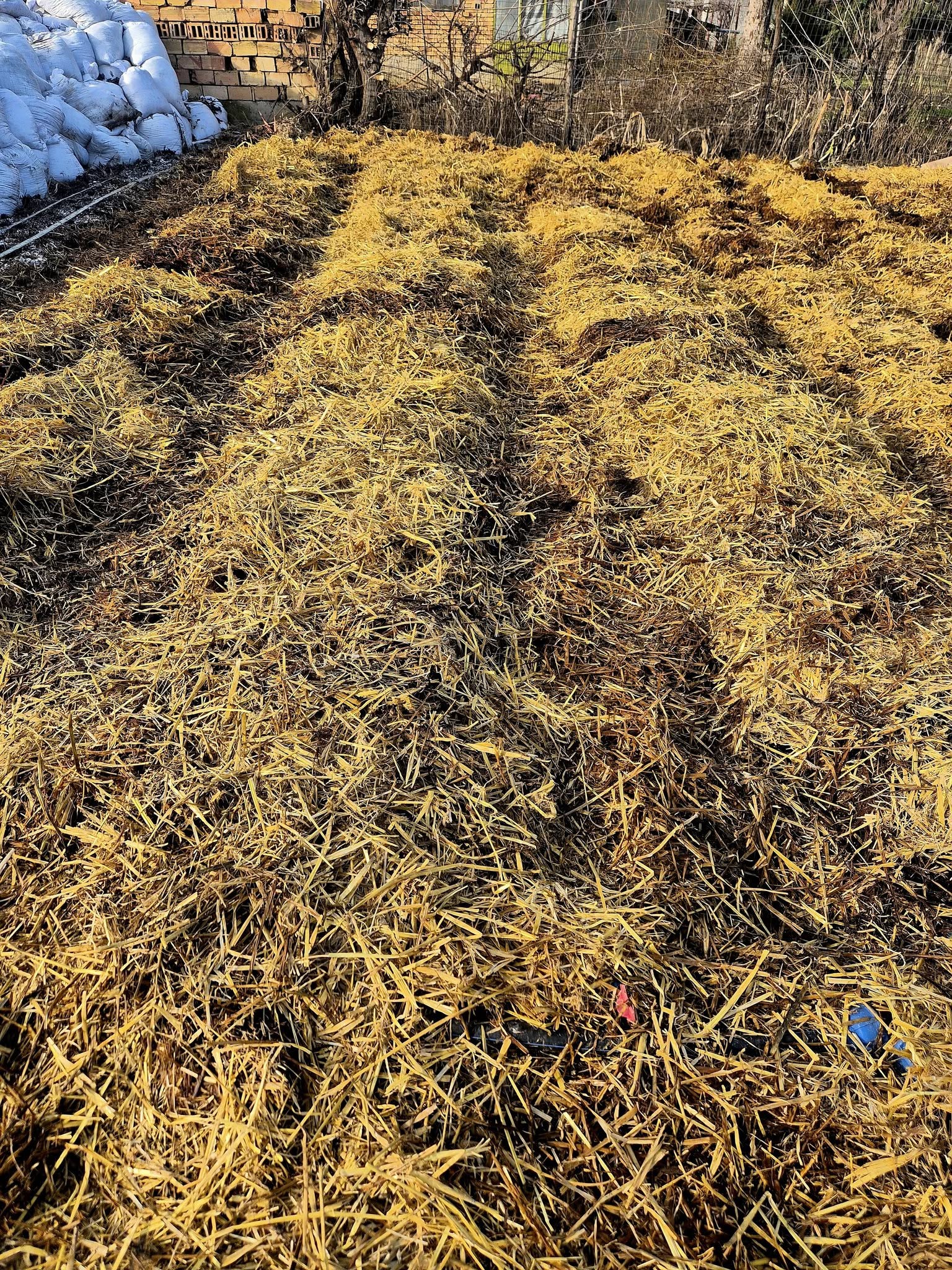 картофи със слама