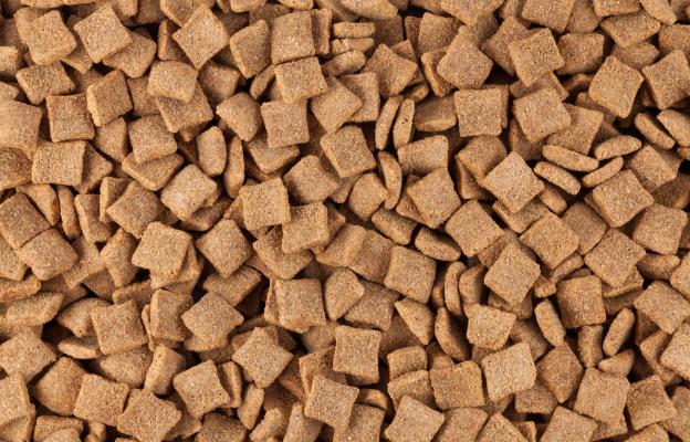 Котешка тоалетна