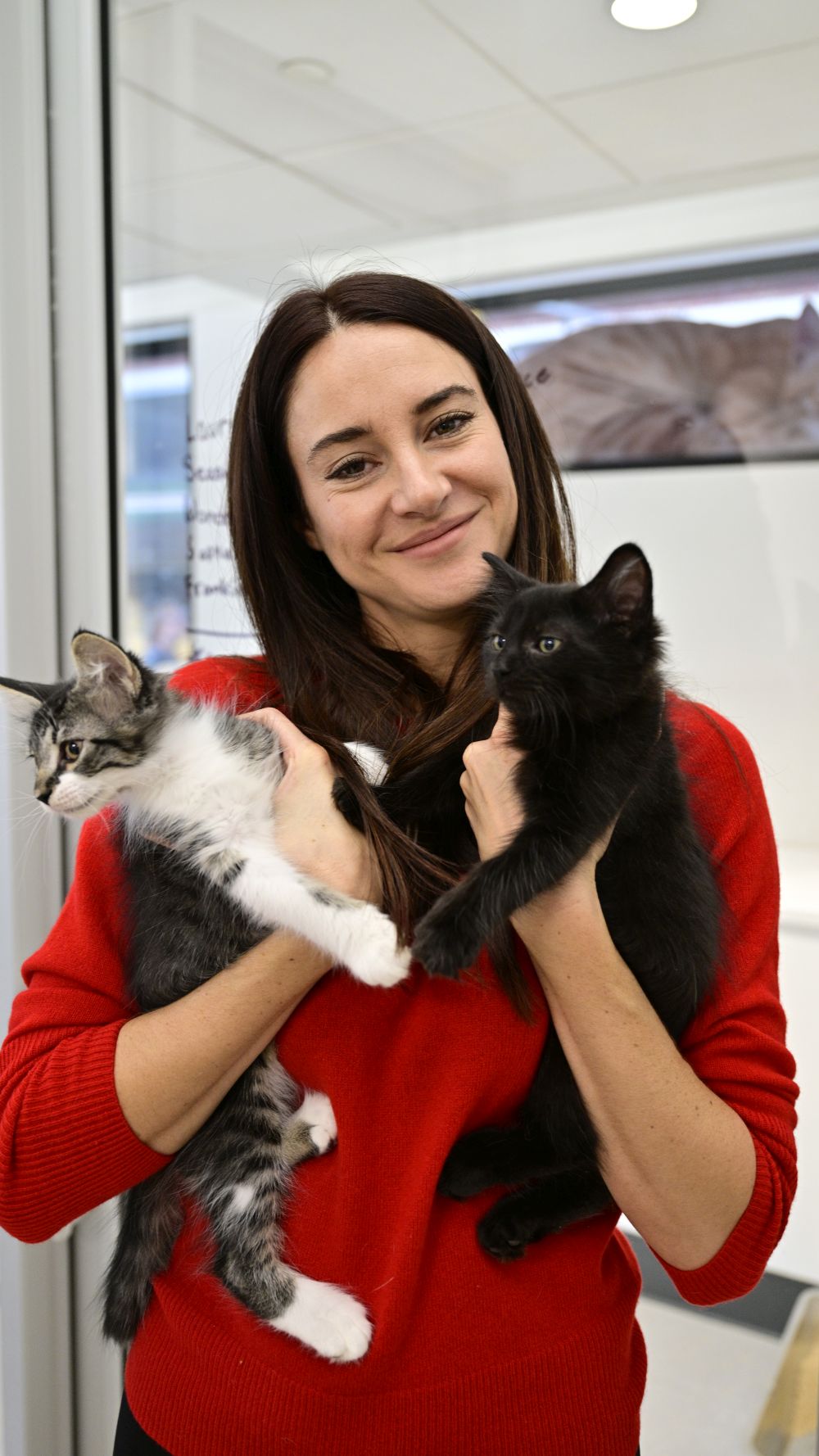 Шайлийн Удли