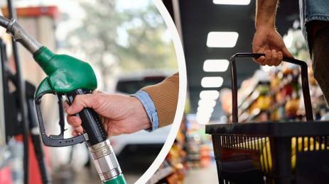 горива храни