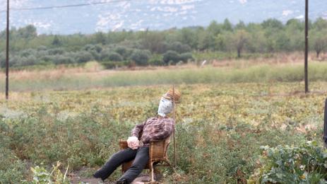 градина астро