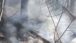 пожар троянско